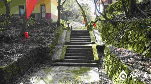 体检套餐极为少见！泉州一地发现元代石构台阶！